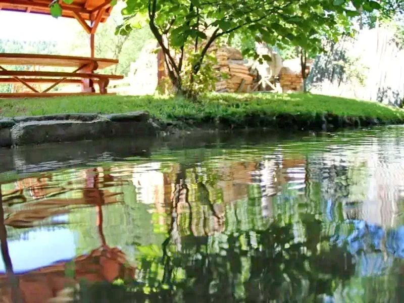 Harghita Madaras Cazare | Cabană (K0405-16) Imaginea poate fi supusă drepturilor de autor. Se recomandă contactarea titularului drepturilor.