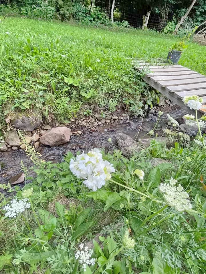 Madarasi Hargita Szállás | Kulcsosház (K0596-32) A kép szerzői jogvédelem alatt állhat. Javasolt a kapcsolatfelvétel a jog tulajdonossal.