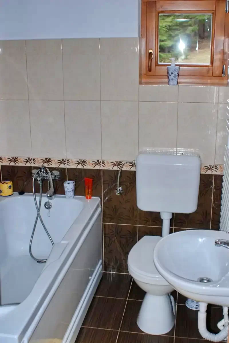 Harghita Madaras Cazare | Cabană (K0674-6) Imaginea poate fi supusă drepturilor de autor. Se recomandă contactarea titularului drepturilor.