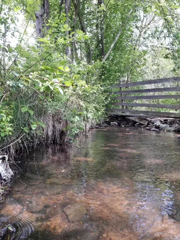 Madarasi Hargita Szállás | Kulcsosház (K1199-9) A kép szerzői jogvédelem alatt állhat. Javasolt a kapcsolatfelvétel a jog tulajdonossal.