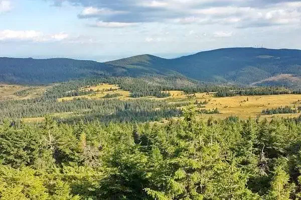 Madarasi Hargita Szállás | Kulcsosház (K1284-31) A kép szerzői jogvédelem alatt állhat. Javasolt a kapcsolatfelvétel a jog tulajdonossal.