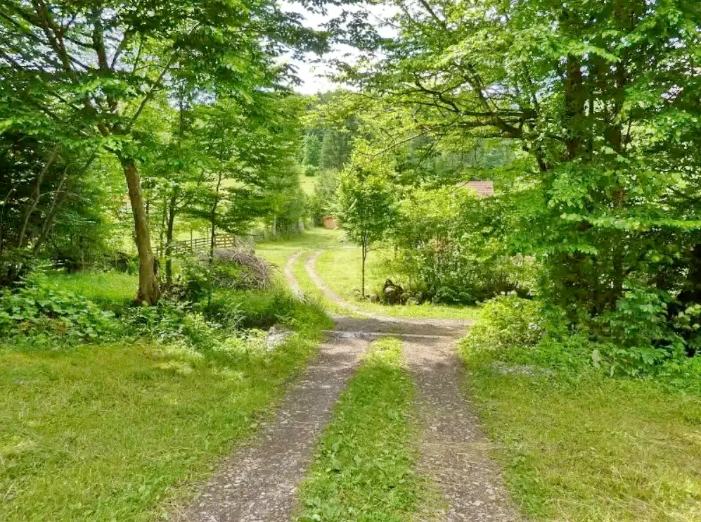 Madarasi Hargita Szállás | Kulcsosház (K1393-3) A kép szerzői jogvédelem alatt állhat. Javasolt a kapcsolatfelvétel a jog tulajdonossal.