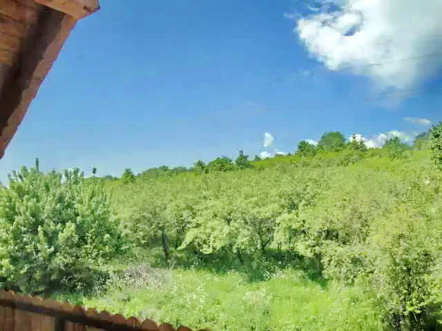 Odorheiu Secuiesc Cazare | Cabană (K0251-14) Imaginea poate fi supusă drepturilor de autor. Se recomandă contactarea titularului drepturilor. Odorheiu Secuiesc Cazare | Cabană (K0251-14) Imaginea poate fi supusă drepturilor de autor. Se recomandă contactarea titularului drepturilor.