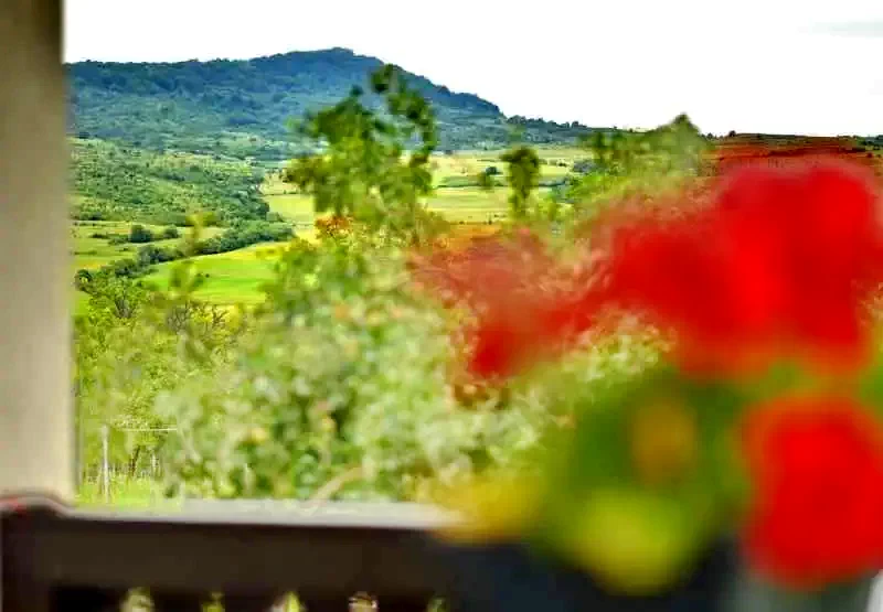 Odorheiu Secuiesc Cazare | Pensiune (K0356-15) Imaginea poate fi supusă drepturilor de autor. Se recomandă contactarea titularului drepturilor. Odorheiu Secuiesc Cazare | Pensiune (K0356-15) Imaginea poate fi supusă drepturilor de autor. Se recomandă contactarea titularului drepturilor.