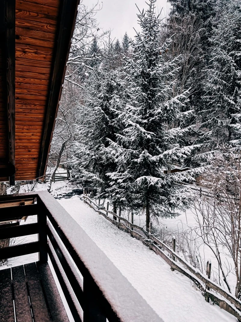 Izvoare Cazare | Cabană (K0479-15) Imaginea poate fi supusă drepturilor de autor. Se recomandă contactarea titularului drepturilor.