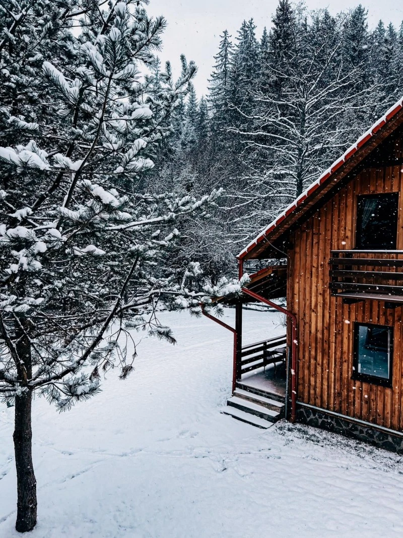 Izvoare Cazare | Cabană (K0479-34) Imaginea poate fi supusă drepturilor de autor. Se recomandă contactarea titularului drepturilor.