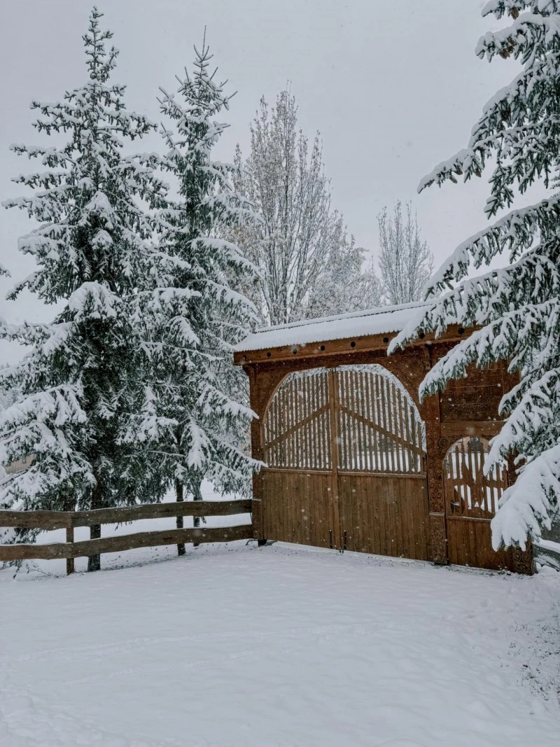 Izvoare Cazare | Cabană (K0479-43) Imaginea poate fi supusă drepturilor de autor. Se recomandă contactarea titularului drepturilor.