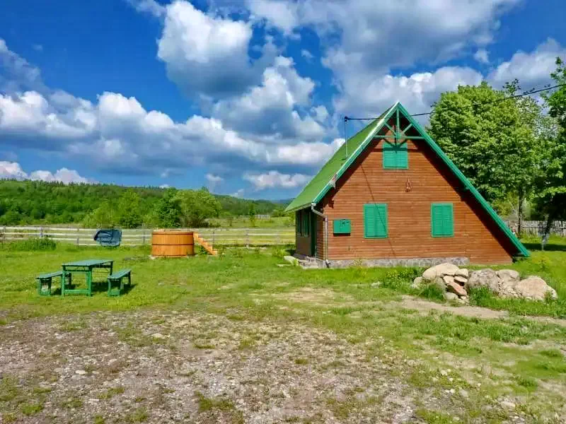 Izvoare Cazare | Cabană (K0519-4) Imaginea poate fi supusă drepturilor de autor. Se recomandă contactarea titularului drepturilor.