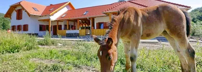 Székelyudvarhely Szállás | Panzió (K0754-1) A kép szerzői jogvédelem alatt állhat. Javasolt a kapcsolatfelvétel a jog tulajdonossal.