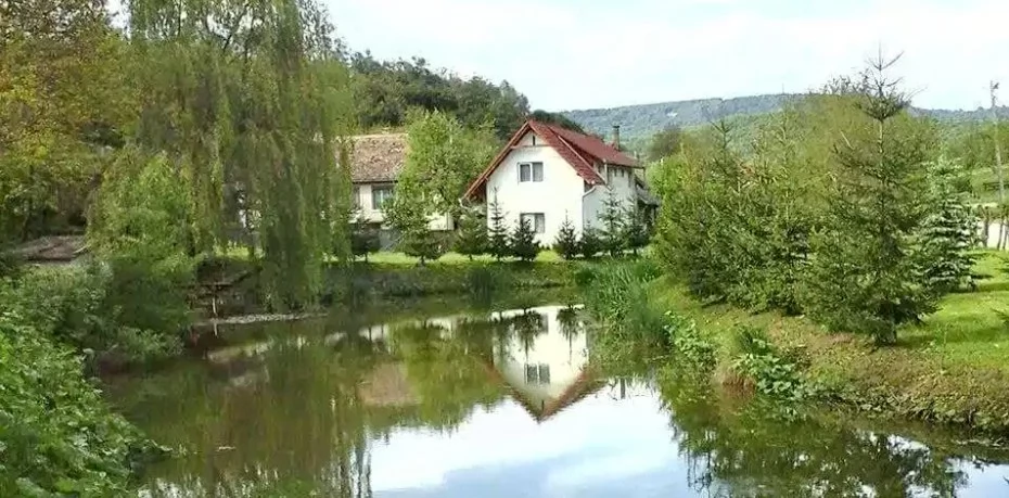 Odorheiu Secuiesc Cazare | Cabană (K1302-17) Imaginea poate fi supusă drepturilor de autor. Se recomandă contactarea titularului drepturilor. Odorheiu Secuiesc Cazare | Cabană (K1302-17) Imaginea poate fi supusă drepturilor de autor. Se recomandă contactarea titularului drepturilor.