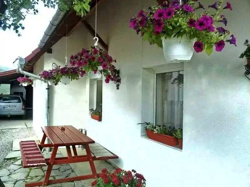 Odorheiu Secuiesc Cazare | Cabană (K1302-18) Imaginea poate fi supusă drepturilor de autor. Se recomandă contactarea titularului drepturilor. Odorheiu Secuiesc Cazare | Cabană (K1302-18) Imaginea poate fi supusă drepturilor de autor. Se recomandă contactarea titularului drepturilor.