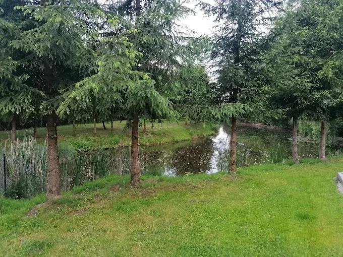 Odorheiu Secuiesc Cazare | Cabană (K1302-40) Imaginea poate fi supusă drepturilor de autor. Se recomandă contactarea titularului drepturilor. Odorheiu Secuiesc Cazare | Cabană (K1302-40) Imaginea poate fi supusă drepturilor de autor. Se recomandă contactarea titularului drepturilor.