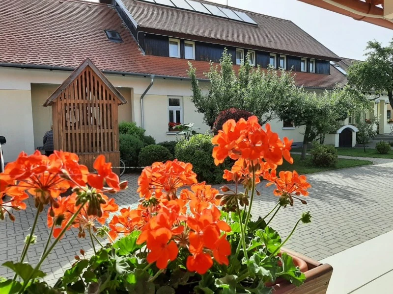 Gyergyócsomafalva Szállás | Panzió (K1075-11) A kép szerzői jogvédelem alatt állhat. Javasolt a kapcsolatfelvétel a jog tulajdonossal.