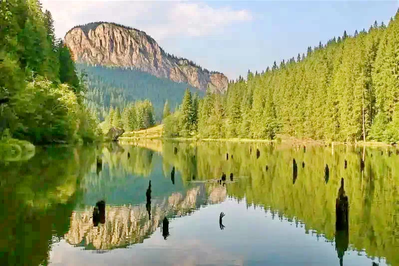 Gyergyócsomafalva Szállás | Panzió (K1075-36) A kép szerzői jogvédelem alatt állhat. Javasolt a kapcsolatfelvétel a jog tulajdonossal.