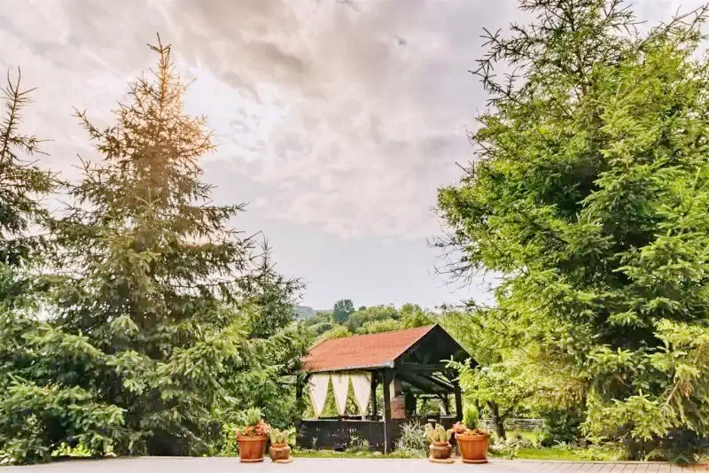 Székelykeresztúr Szállás | Panzió (K0509-20) A kép szerzői jogvédelem alatt állhat. Javasolt a kapcsolatfelvétel a jog tulajdonossal. Székelykeresztúr Szállás | Panzió (K0509-20) A kép szerzői jogvédelem alatt állhat. Javasolt a kapcsolatfelvétel a jog tulajdonossal.