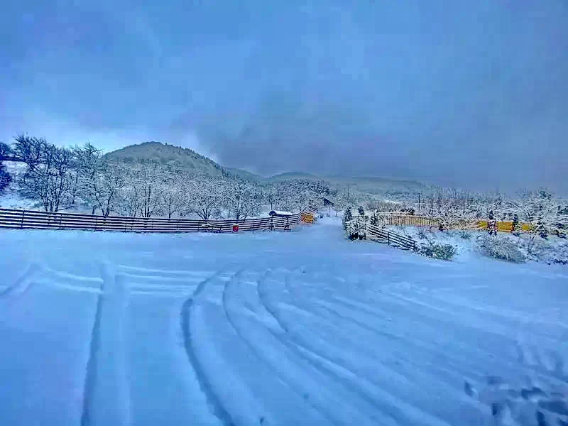 Corund Cazare | Pensiune (K1079-33) Imaginea poate fi supusă drepturilor de autor. Se recomandă contactarea titularului drepturilor. Corund Cazare | Pensiune (K1079-33) Imaginea poate fi supusă drepturilor de autor. Se recomandă contactarea titularului drepturilor.