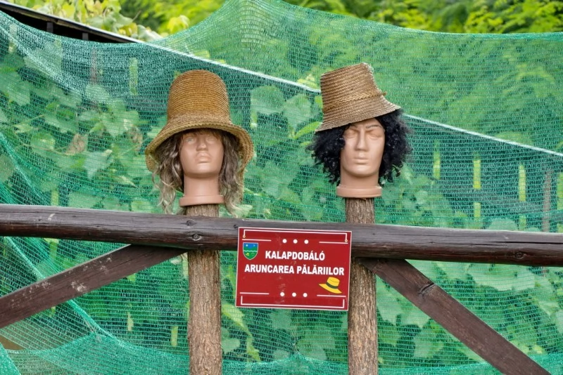 Cristuru Secuiesc Cazare | Casă de oaspeți (K0581-44) Imaginea poate fi supusă drepturilor de autor. Se recomandă contactarea titularului drepturilor. Cristuru Secuiesc Cazare | Casă de oaspeți (K0581-44) Imaginea poate fi supusă drepturilor de autor. Se recomandă contactarea titularului drepturilor.