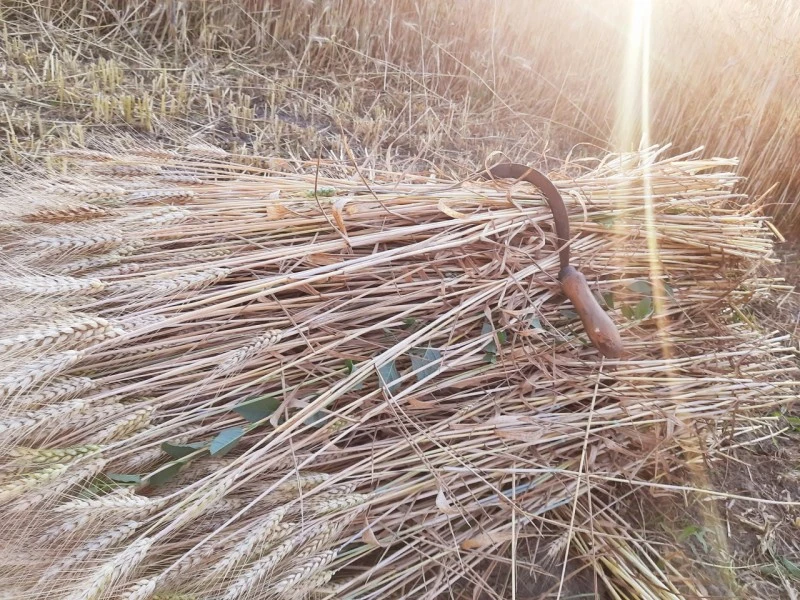 Cristuru Secuiesc Cazare | Casă de oaspeți (K0581-49) Imaginea poate fi supusă drepturilor de autor. Se recomandă contactarea titularului drepturilor. Cristuru Secuiesc Cazare | Casă de oaspeți (K0581-49) Imaginea poate fi supusă drepturilor de autor. Se recomandă contactarea titularului drepturilor.