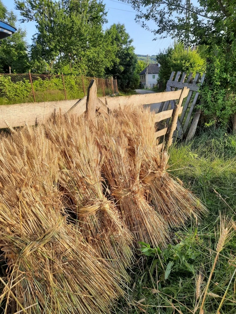 Székelykeresztúr Szállás | Vendégház (K0581-51) A kép szerzői jogvédelem alatt állhat. Javasolt a kapcsolatfelvétel a jog tulajdonossal. Székelykeresztúr Szállás | Vendégház (K0581-51) A kép szerzői jogvédelem alatt állhat. Javasolt a kapcsolatfelvétel a jog tulajdonossal.