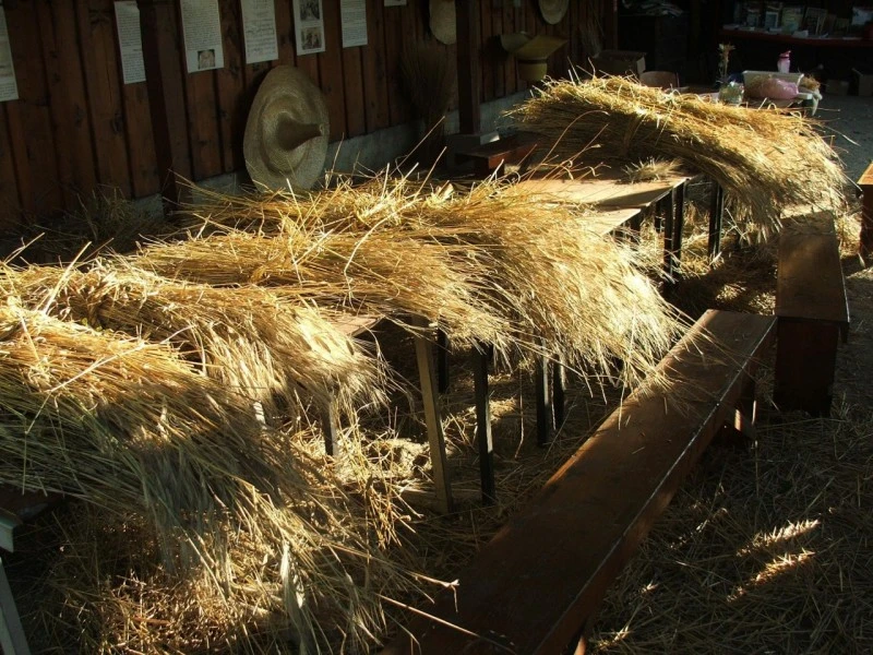 Cristuru Secuiesc Cazare | Casă de oaspeți (K0581-52) Imaginea poate fi supusă drepturilor de autor. Se recomandă contactarea titularului drepturilor. Cristuru Secuiesc Cazare | Casă de oaspeți (K0581-52) Imaginea poate fi supusă drepturilor de autor. Se recomandă contactarea titularului drepturilor.