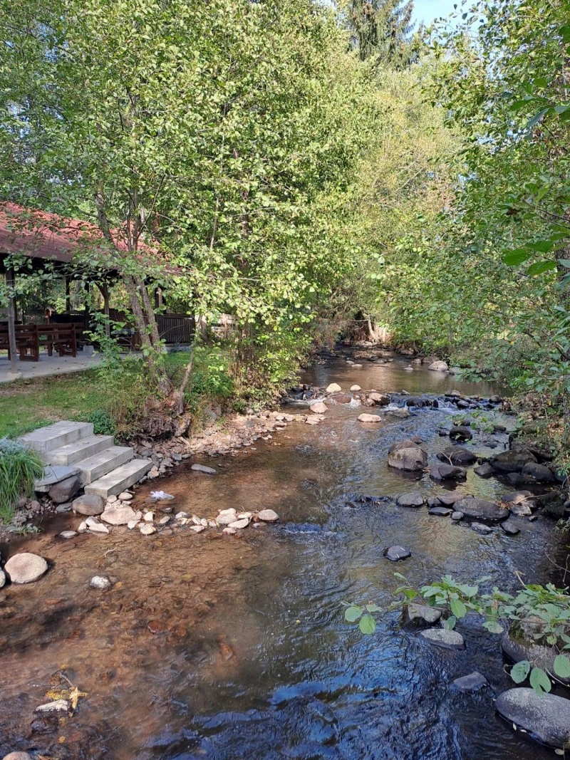 Zetelaka Szállás | Kulcsosház (K0343-2) A kép szerzői jogvédelem alatt állhat. Javasolt a kapcsolatfelvétel a jog tulajdonossal. Zetelaka Szállás | Kulcsosház (K0343-2) A kép szerzői jogvédelem alatt állhat. Javasolt a kapcsolatfelvétel a jog tulajdonossal.