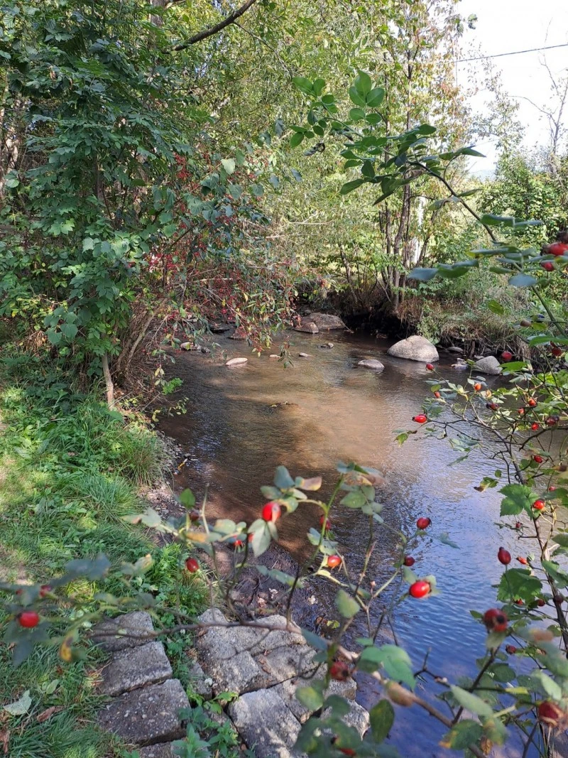 Zetelaka Szállás | Kulcsosház (K0343-41) A kép szerzői jogvédelem alatt állhat. Javasolt a kapcsolatfelvétel a jog tulajdonossal. Zetelaka Szállás | Kulcsosház (K0343-41) A kép szerzői jogvédelem alatt állhat. Javasolt a kapcsolatfelvétel a jog tulajdonossal.