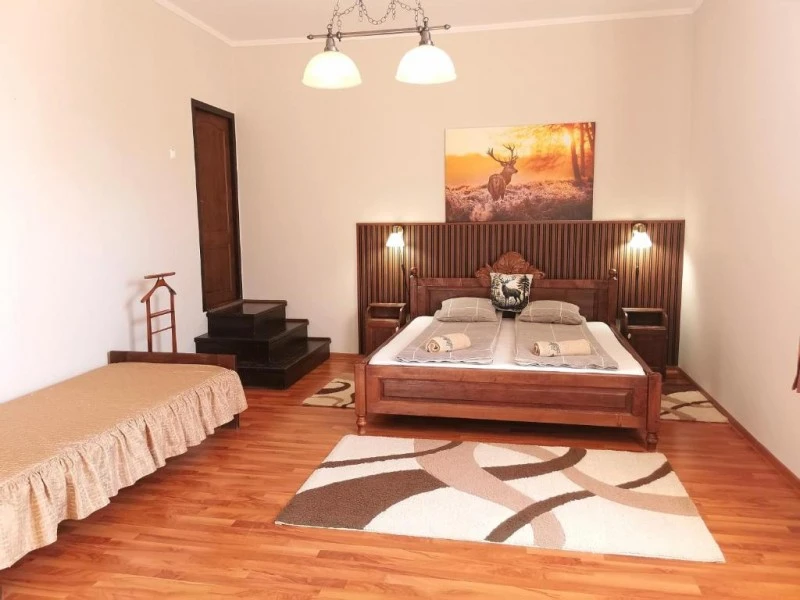 Odorheiu Secuiesc Cazare | Vilă (K0636-5) Imaginea poate fi supusă drepturilor de autor. Se recomandă contactarea titularului drepturilor.