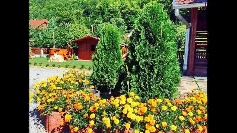 Odorheiu Secuiesc Cazare | Vilă (K0636-24) Imaginea poate fi supusă drepturilor de autor. Se recomandă contactarea titularului drepturilor.