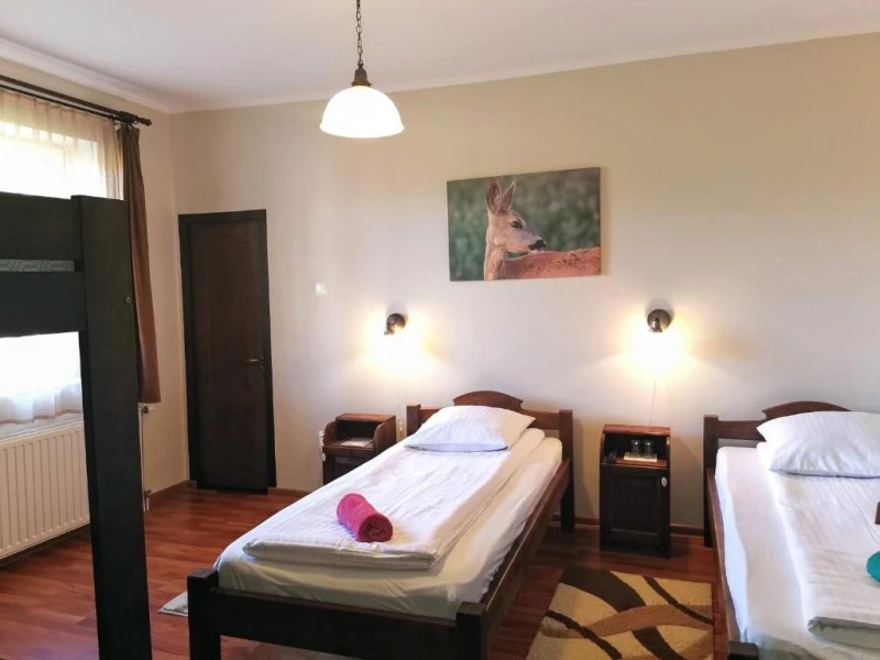 Odorheiu Secuiesc Cazare | Vilă (K0636-31) Imaginea poate fi supusă drepturilor de autor. Se recomandă contactarea titularului drepturilor.