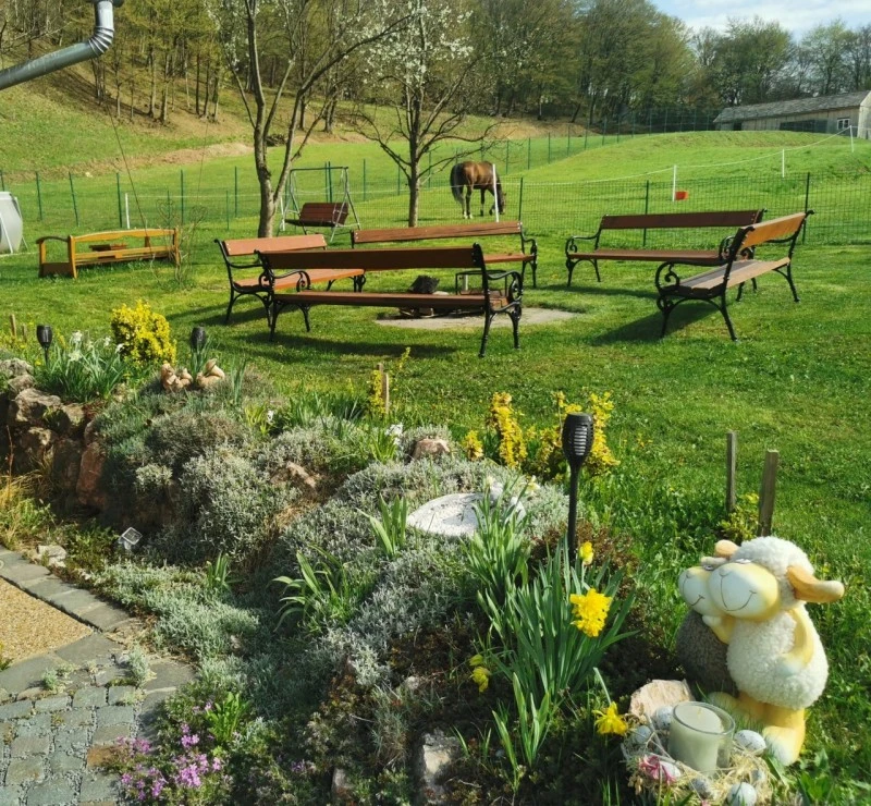 Odorheiu Secuiesc Cazare | Vilă (K0636-51) Imaginea poate fi supusă drepturilor de autor. Se recomandă contactarea titularului drepturilor.