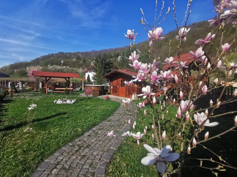 Odorheiu Secuiesc Cazare | Vilă (K0636-55) Imaginea poate fi supusă drepturilor de autor. Se recomandă contactarea titularului drepturilor.