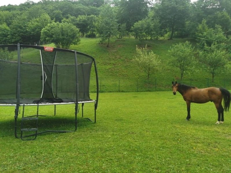 Odorheiu Secuiesc Cazare | Vilă (K0636-56) Imaginea poate fi supusă drepturilor de autor. Se recomandă contactarea titularului drepturilor.