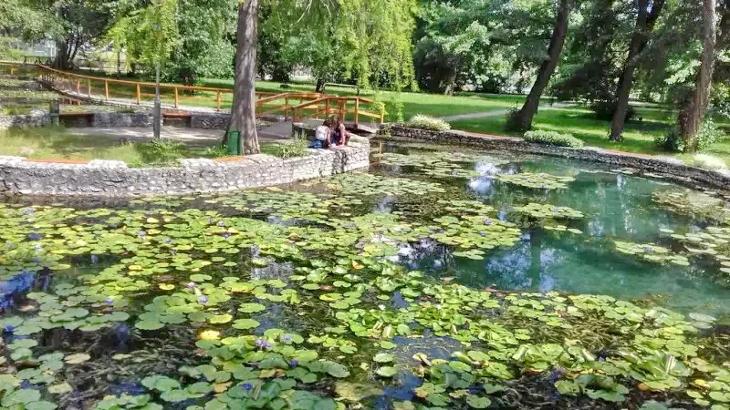 Miskolc Szállás | Vendégház (K0812-7) A kép szerzői jogvédelem alatt állhat. Javasolt a kapcsolatfelvétel a jog tulajdonossal.