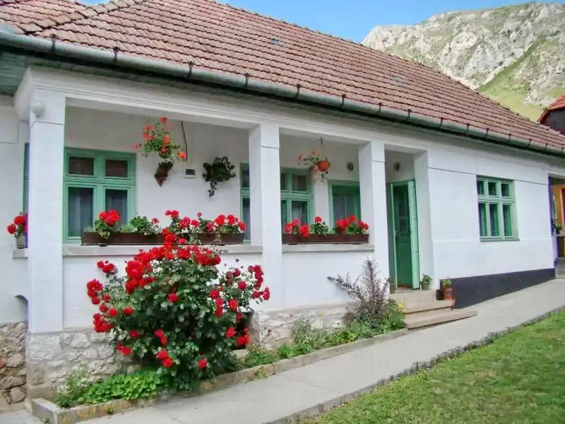 Torockó Szállás | Panzió (K0547-39) A kép szerzői jogvédelem alatt állhat. Javasolt a kapcsolatfelvétel a jog tulajdonossal.