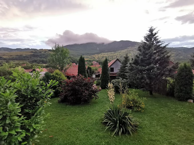 Torockó Szállás | Panzió (K0547-46) A kép szerzői jogvédelem alatt állhat. Javasolt a kapcsolatfelvétel a jog tulajdonossal.