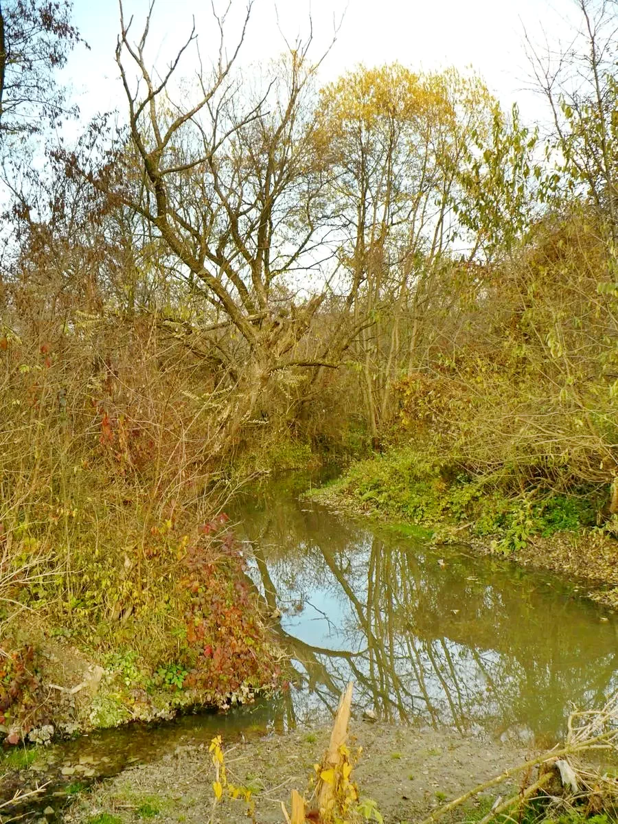 Cristuru Secuiesc Cazare | Pensiune (K0425-21) Imaginea poate fi supusă drepturilor de autor. Se recomandă contactarea titularului drepturilor.