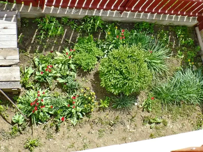 Odorheiu Secuiesc Cazare | Pensiune (K0602-2) Imaginea poate fi supusă drepturilor de autor. Se recomandă contactarea titularului drepturilor. Odorheiu Secuiesc Cazare | Pensiune (K0602-2) Imaginea poate fi supusă drepturilor de autor. Se recomandă contactarea titularului drepturilor.