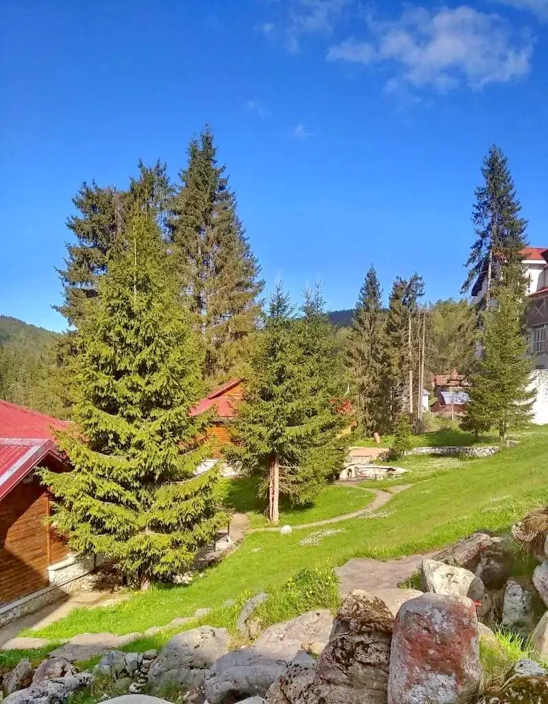 Stâna de Vale Cazare | Vilă (K0829-5) Imaginea poate fi supusă drepturilor de autor. Se recomandă contactarea titularului drepturilor.