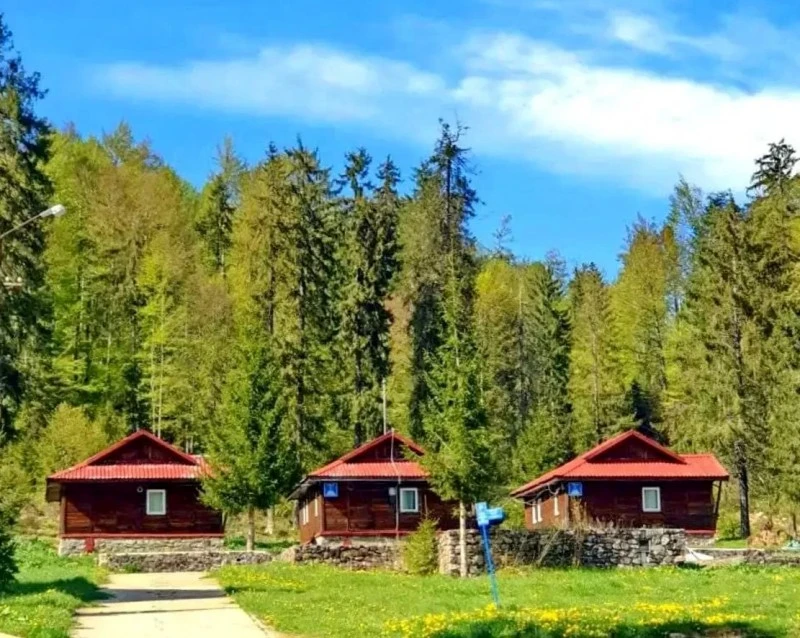 Stâna de Vale Cazare | Vilă (K0829-13) Imaginea poate fi supusă drepturilor de autor. Se recomandă contactarea titularului drepturilor.