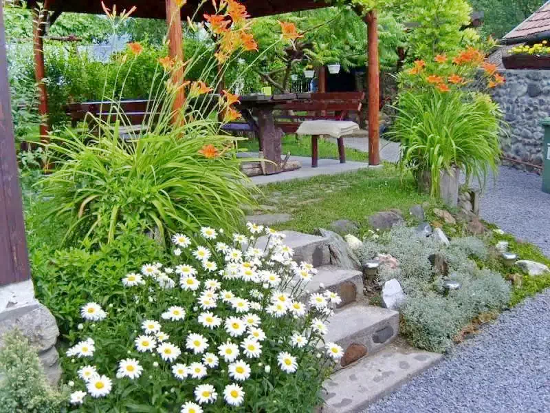 Sovata Cazare | Vilă (K0331-38) Imaginea poate fi supusă drepturilor de autor. Se recomandă contactarea titularului drepturilor.