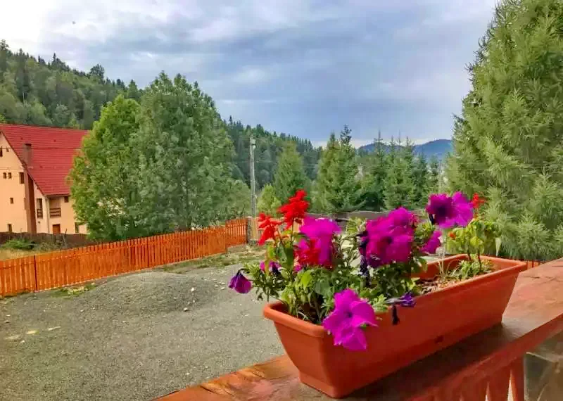 Kolibica Szállás | Panzió (K1278-17) A kép szerzői jogvédelem alatt állhat. Javasolt a kapcsolatfelvétel a jog tulajdonossal.