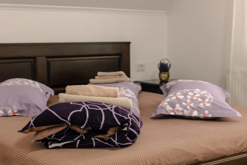 Colibița Cazare | Cabană (K1451-16) Imaginea poate fi supusă drepturilor de autor. Se recomandă contactarea titularului drepturilor.