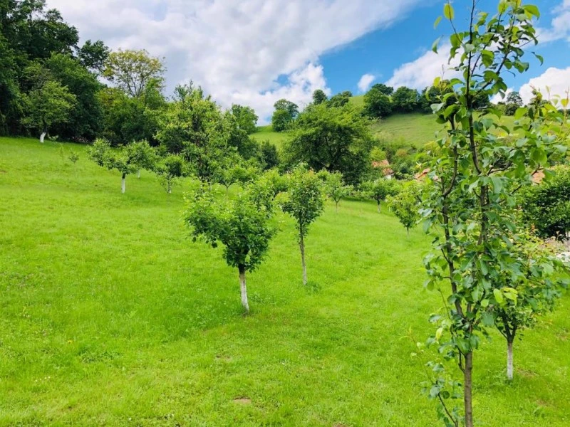 Sighișoara Cazare | Hotel*** (K1588-19) Imaginea poate fi supusă drepturilor de autor. Se recomandă contactarea titularului drepturilor. Sighișoara Cazare | Hotel*** (K1588-19) Imaginea poate fi supusă drepturilor de autor. Se recomandă contactarea titularului drepturilor.