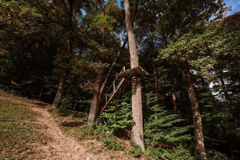 Segesvár Szállás | Hotel*** (K1588-37) A kép szerzői jogvédelem alatt állhat. Javasolt a kapcsolatfelvétel a jog tulajdonossal. Segesvár Szállás | Hotel*** (K1588-37) A kép szerzői jogvédelem alatt állhat. Javasolt a kapcsolatfelvétel a jog tulajdonossal.
