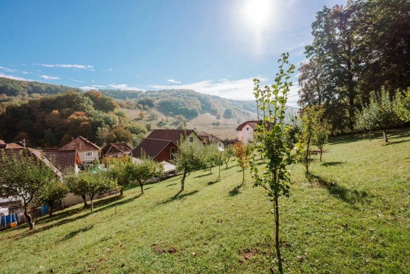 Sighișoara Cazare | Hotel*** (K1588-39) Imaginea poate fi supusă drepturilor de autor. Se recomandă contactarea titularului drepturilor. Sighișoara Cazare | Hotel*** (K1588-39) Imaginea poate fi supusă drepturilor de autor. Se recomandă contactarea titularului drepturilor.