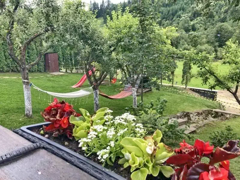 Kolibica Szállás | Vendégház (K1280-16) A kép szerzői jogvédelem alatt állhat. Javasolt a kapcsolatfelvétel a jog tulajdonossal.