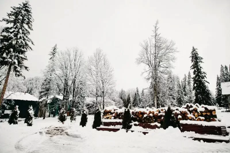 Borsec Cazare | Pensiune (K0628-31) Imaginea poate fi supusă drepturilor de autor. Se recomandă contactarea titularului drepturilor. Borsec Cazare | Pensiune (K0628-31) Imaginea poate fi supusă drepturilor de autor. Se recomandă contactarea titularului drepturilor.