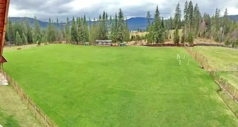 Borszék Szállás | Villa (K1239-23) A kép szerzői jogvédelem alatt állhat. Javasolt a kapcsolatfelvétel a jog tulajdonossal.