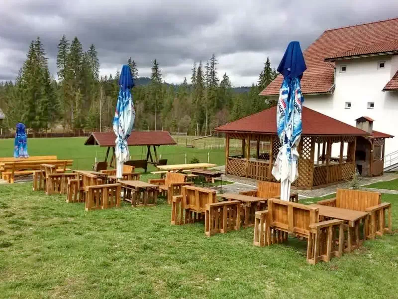 Borsec Cazare | Vilă (K1239-26) Imaginea poate fi supusă drepturilor de autor. Se recomandă contactarea titularului drepturilor.