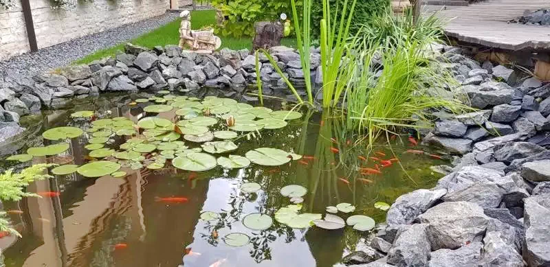 Torda Szállás | Panzió (K0070-18) A kép szerzői jogvédelem alatt állhat. Javasolt a kapcsolatfelvétel a jog tulajdonossal.